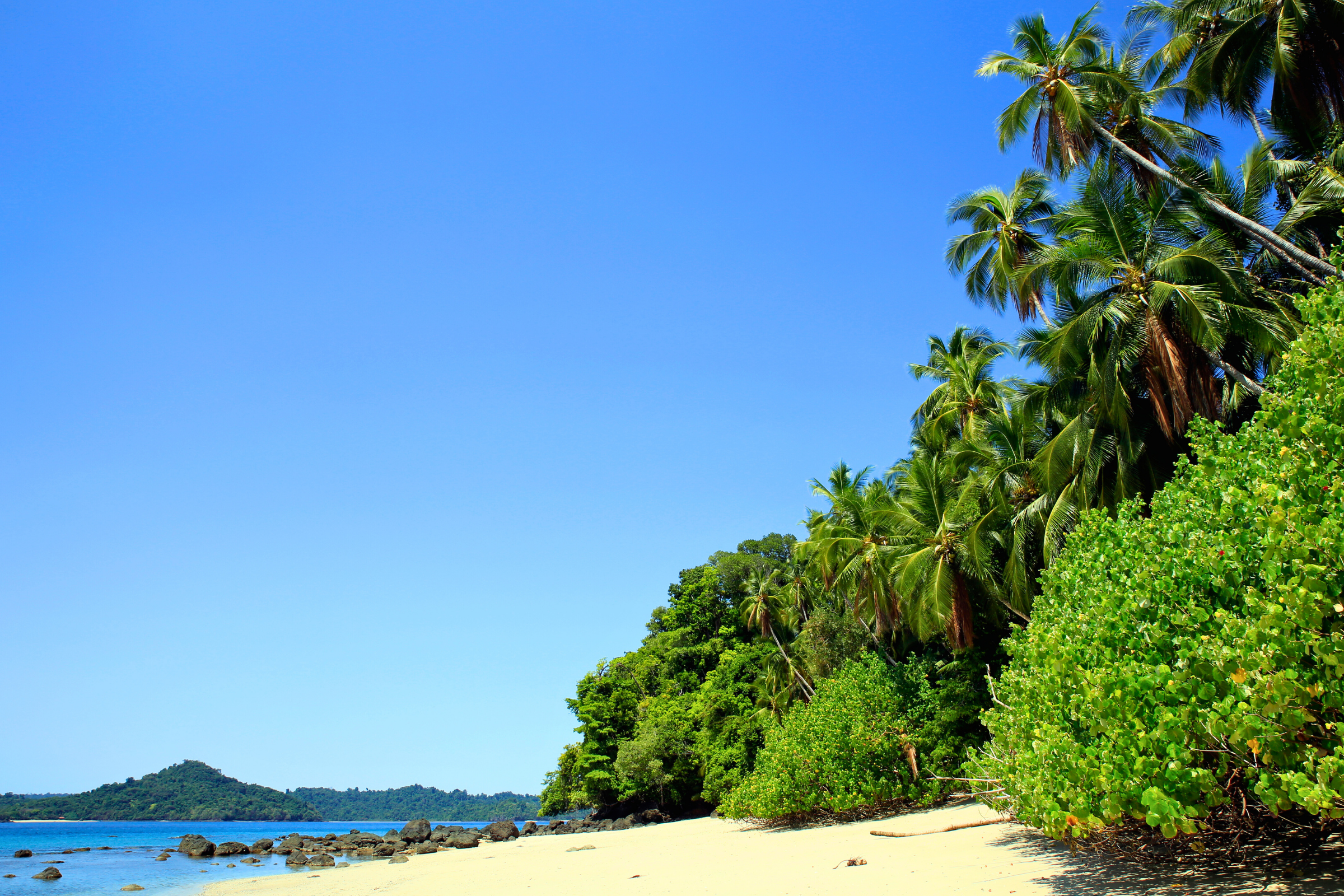 30 coiba island.webp